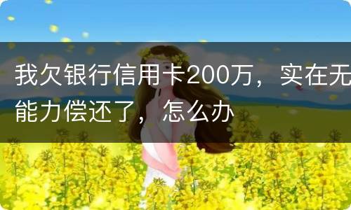 我欠银行信用卡200万，实在无能力偿还了，怎么办