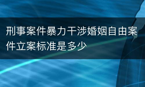 刑事案件暴力干涉婚姻自由案件立案标准是多少