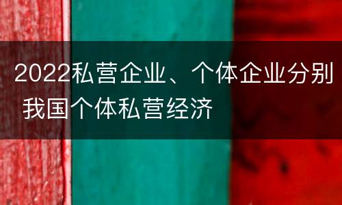 2022私营企业、个体企业分别 我国个体私营经济