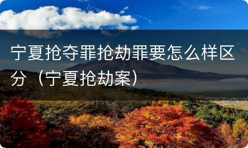 宁夏抢夺罪抢劫罪要怎么样区分（宁夏抢劫案）