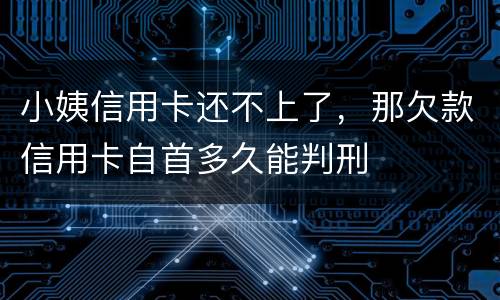 小姨信用卡还不上了，那欠款信用卡自首多久能判刑
