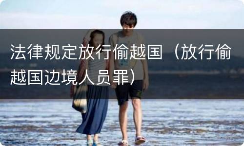法律规定放行偷越国（放行偷越国边境人员罪）