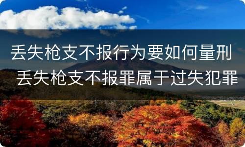 丢失枪支不报行为要如何量刑 丢失枪支不报罪属于过失犯罪吗