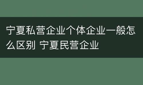 宁夏私营企业个体企业一般怎么区别 宁夏民营企业
