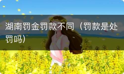 湖南罚金罚款不同（罚款是处罚吗）