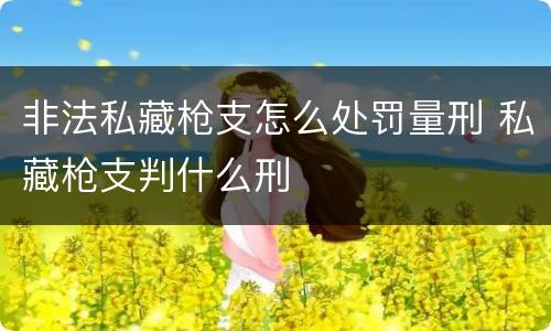 非法私藏枪支怎么处罚量刑 私藏枪支判什么刑