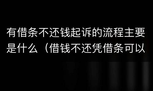 有借条不还钱起诉的流程主要是什么（借钱不还凭借条可以起诉吗）