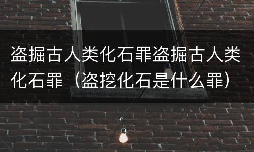 盗掘古人类化石罪盗掘古人类化石罪（盗挖化石是什么罪）