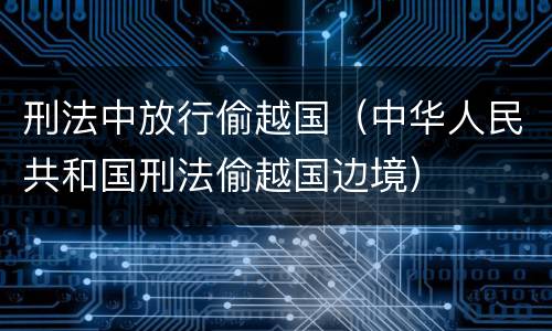 刑法中放行偷越国（中华人民共和国刑法偷越国边境）