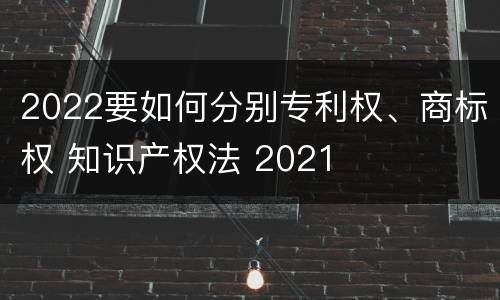 2022要如何分别专利权、商标权 知识产权法 2021