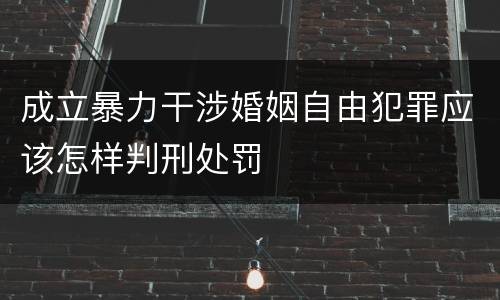 成立暴力干涉婚姻自由犯罪应该怎样判刑处罚