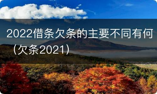 2022借条欠条的主要不同有何（欠条2021）