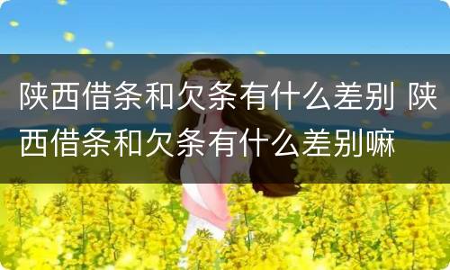 陕西借条和欠条有什么差别 陕西借条和欠条有什么差别嘛