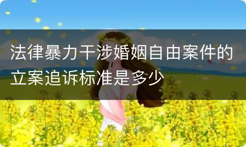 法律暴力干涉婚姻自由案件的立案追诉标准是多少