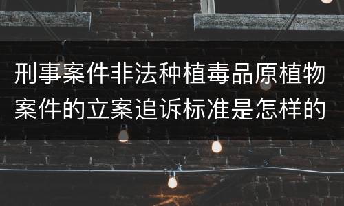 刑事案件非法种植毒品原植物案件的立案追诉标准是怎样的
