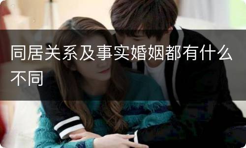 同居关系及事实婚姻都有什么不同