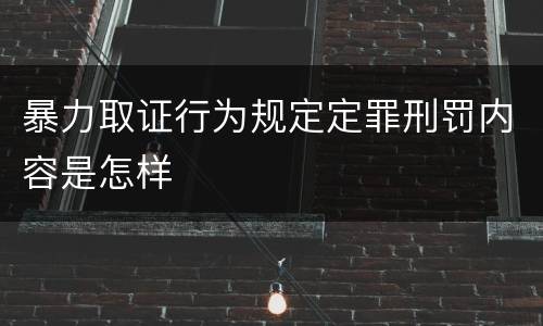 暴力取证行为规定定罪刑罚内容是怎样