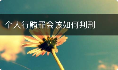 个人行贿罪会该如何判刑