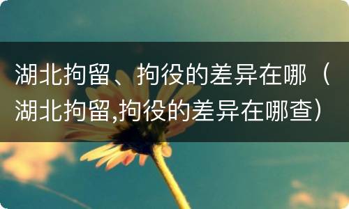 湖北拘留、拘役的差异在哪（湖北拘留,拘役的差异在哪查）