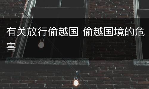 有关放行偷越国 偷越国境的危害