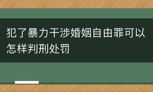 犯了暴力干涉婚姻自由罪可以怎样判刑处罚