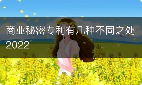 商业秘密专利有几种不同之处2022