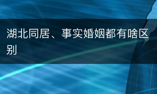 湖北同居、事实婚姻都有啥区别