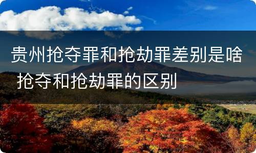 贵州抢夺罪和抢劫罪差别是啥 抢夺和抢劫罪的区别