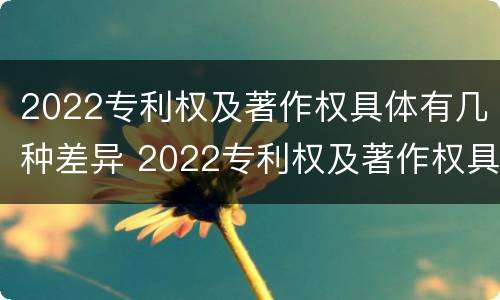 2022专利权及著作权具体有几种差异 2022专利权及著作权具体有几种差异
