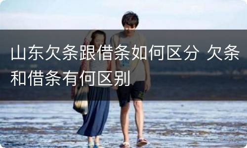 山东欠条跟借条如何区分 欠条和借条有何区别