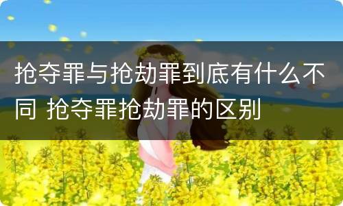 抢夺罪与抢劫罪到底有什么不同 抢夺罪抢劫罪的区别