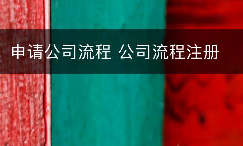 申请公司流程 公司流程注册