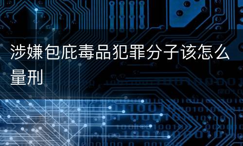 涉嫌包庇毒品犯罪分子该怎么量刑