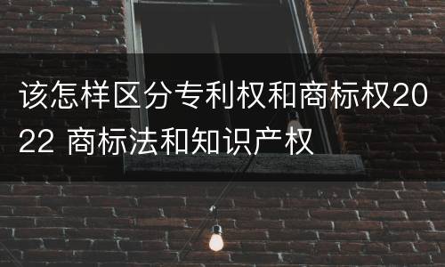 该怎样区分专利权和商标权2022 商标法和知识产权