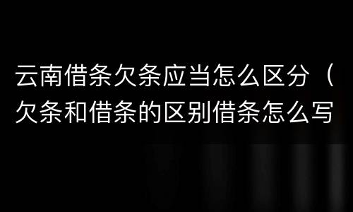 云南借条欠条应当怎么区分（欠条和借条的区别借条怎么写）