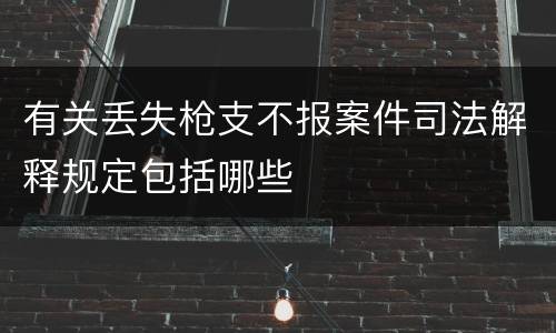 有关丢失枪支不报案件司法解释规定包括哪些