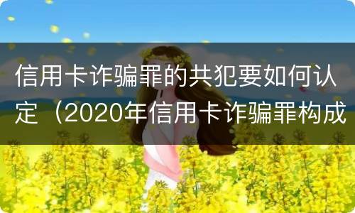 信用卡诈骗罪的共犯要如何认定（2020年信用卡诈骗罪构成要件）
