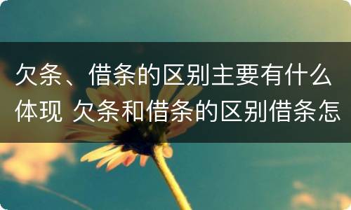 欠条、借条的区别主要有什么体现 欠条和借条的区别借条怎么写