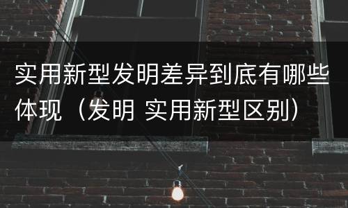 实用新型发明差异到底有哪些体现（发明 实用新型区别）