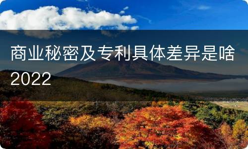 商业秘密及专利具体差异是啥2022