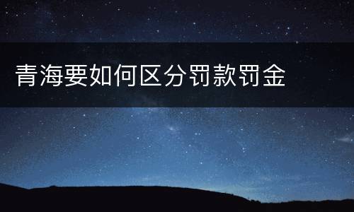 青海要如何区分罚款罚金