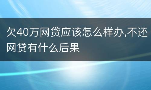 欠40万网贷应该怎么样办,不还网贷有什么后果