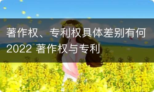 著作权、专利权具体差别有何2022 著作权与专利