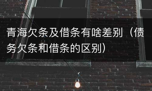 青海欠条及借条有啥差别（债务欠条和借条的区别）