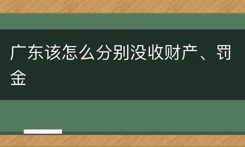 广东该怎么分别没收财产、罚金