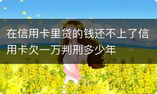 在信用卡里贷的钱还不上了信用卡欠一万判刑多少年