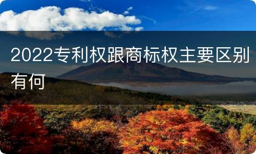 2022专利权跟商标权主要区别有何