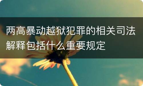 两高暴动越狱犯罪的相关司法解释包括什么重要规定