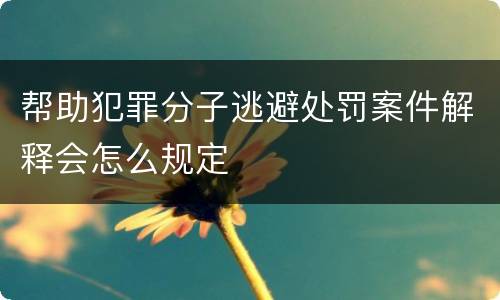 帮助犯罪分子逃避处罚案件解释会怎么规定