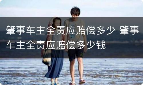 肇事车主全责应赔偿多少 肇事车主全责应赔偿多少钱